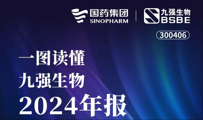 一图读懂米兰(中国)2024年报